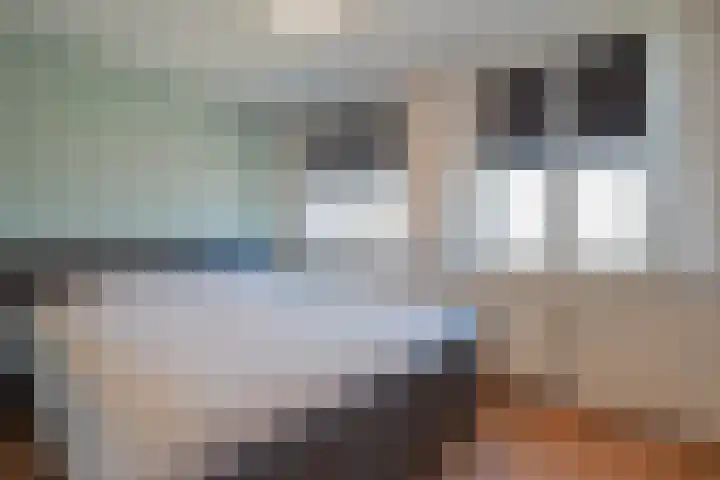 Beatrixstraat 21 Meerlo thumbnail 6