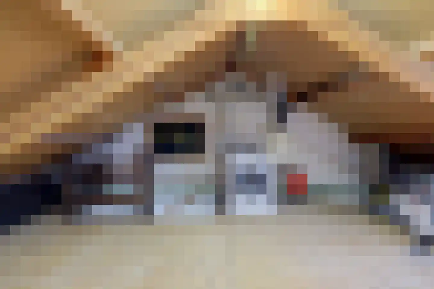 Beatrixstraat 22 Kerkdriel thumbnail 23