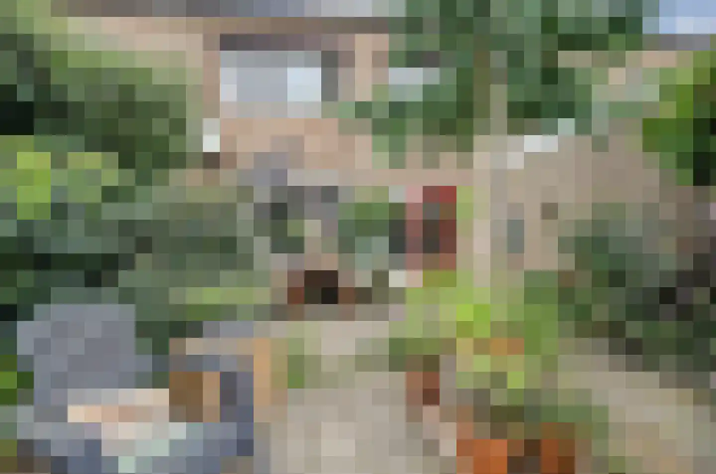 Beatrixstraat 22 Kerkdriel thumbnail 24
