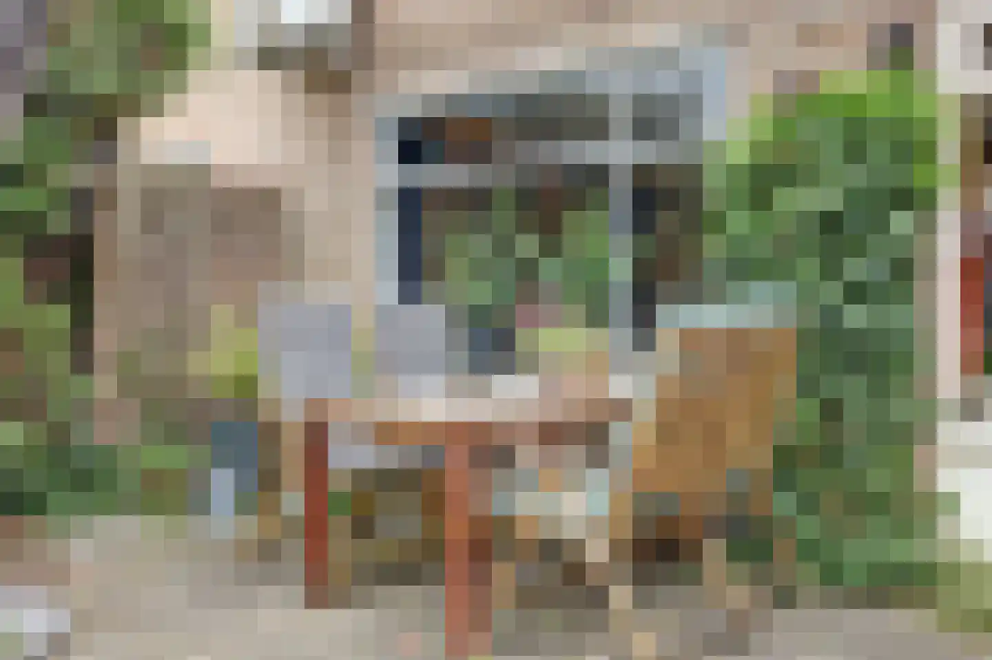 Beatrixstraat 22 Kerkdriel thumbnail 25