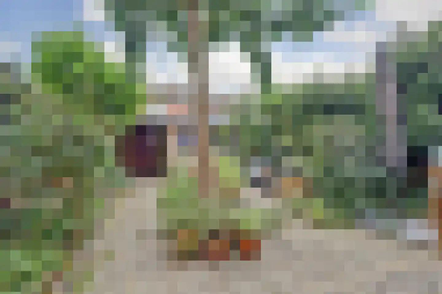 Beatrixstraat 22 Kerkdriel thumbnail 26
