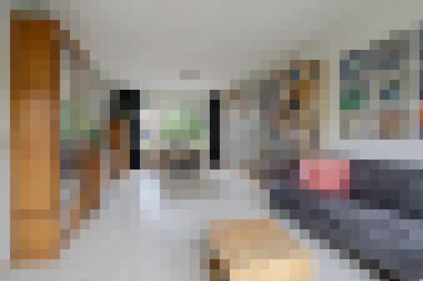 Beatrixstraat 22 Kerkdriel thumbnail 6