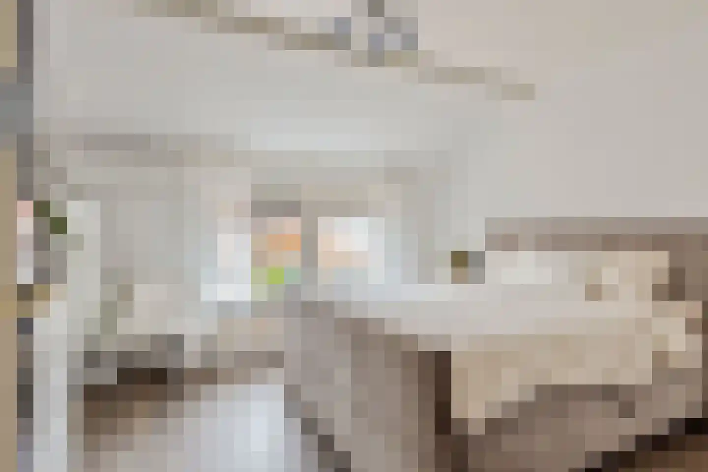 Beatrixstraat 22 Terneuzen thumbnail 23