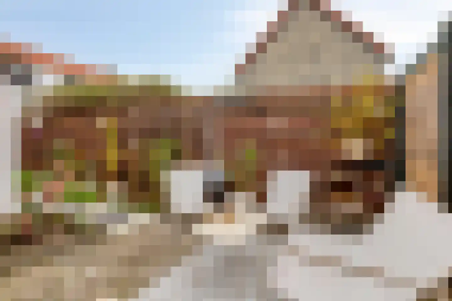 Beatrixstraat 22 Terneuzen thumbnail 33