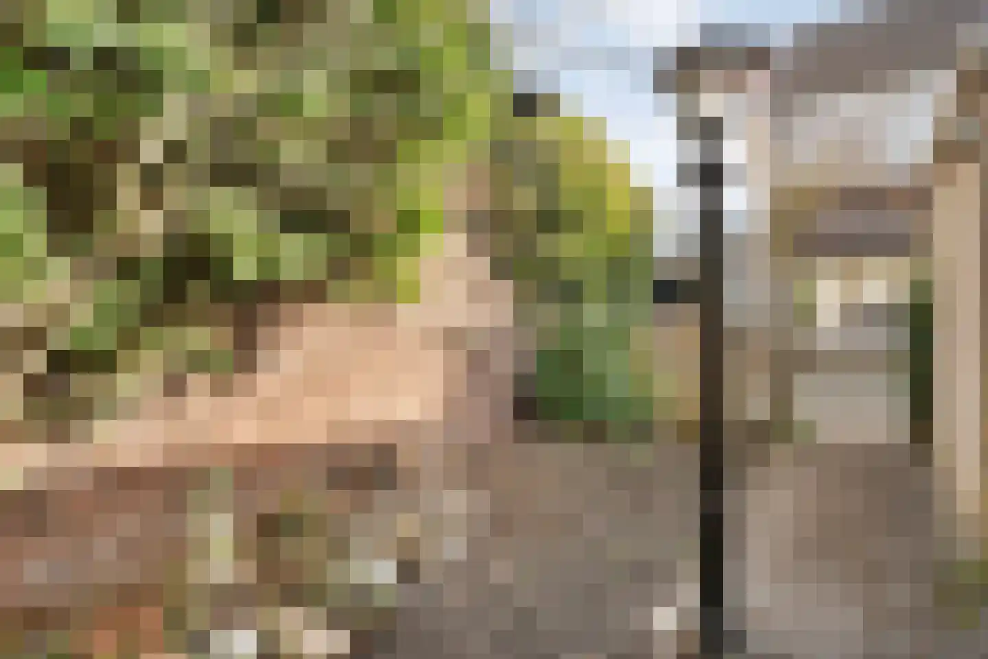 Beatrixstraat 23 Almelo thumbnail 20