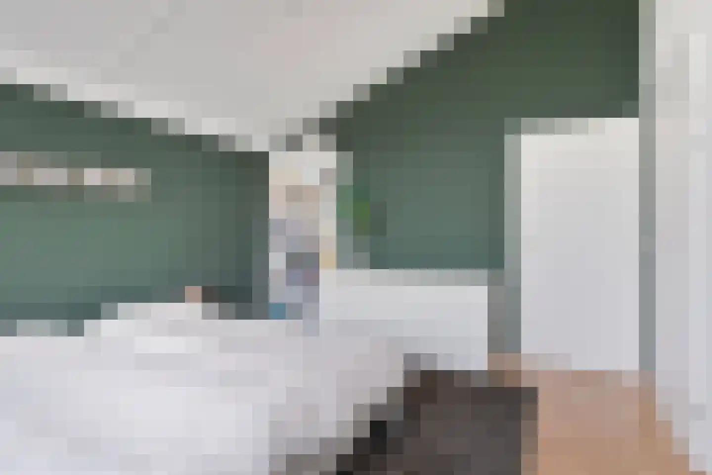 Beatrixstraat 24 Axel thumbnail 16