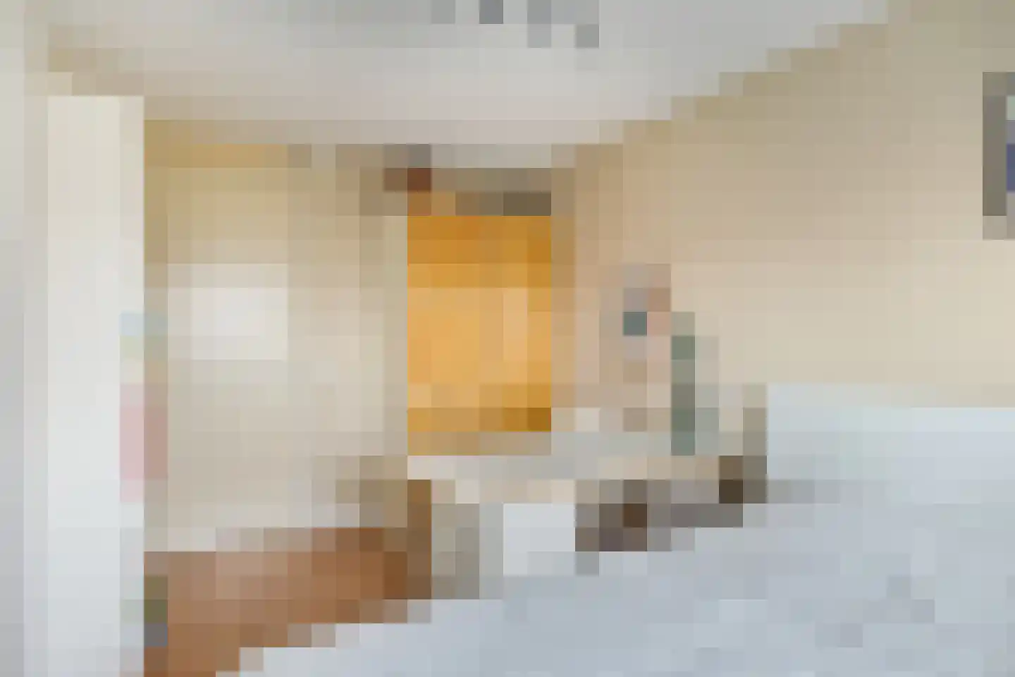 Beatrixstraat 24 Axel thumbnail 20