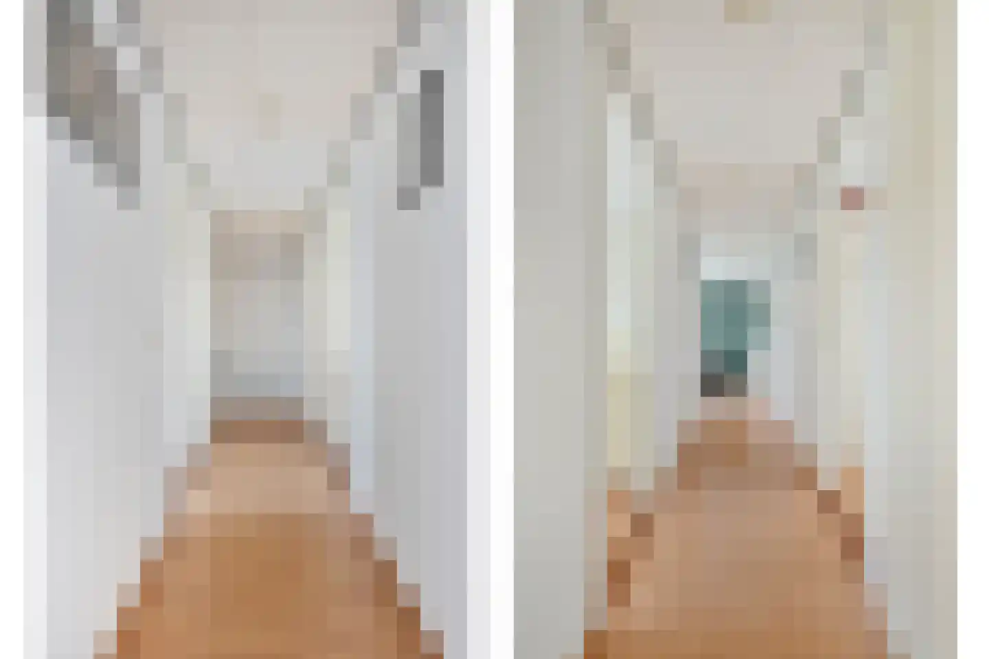 Beatrixstraat 24 Axel thumbnail 23