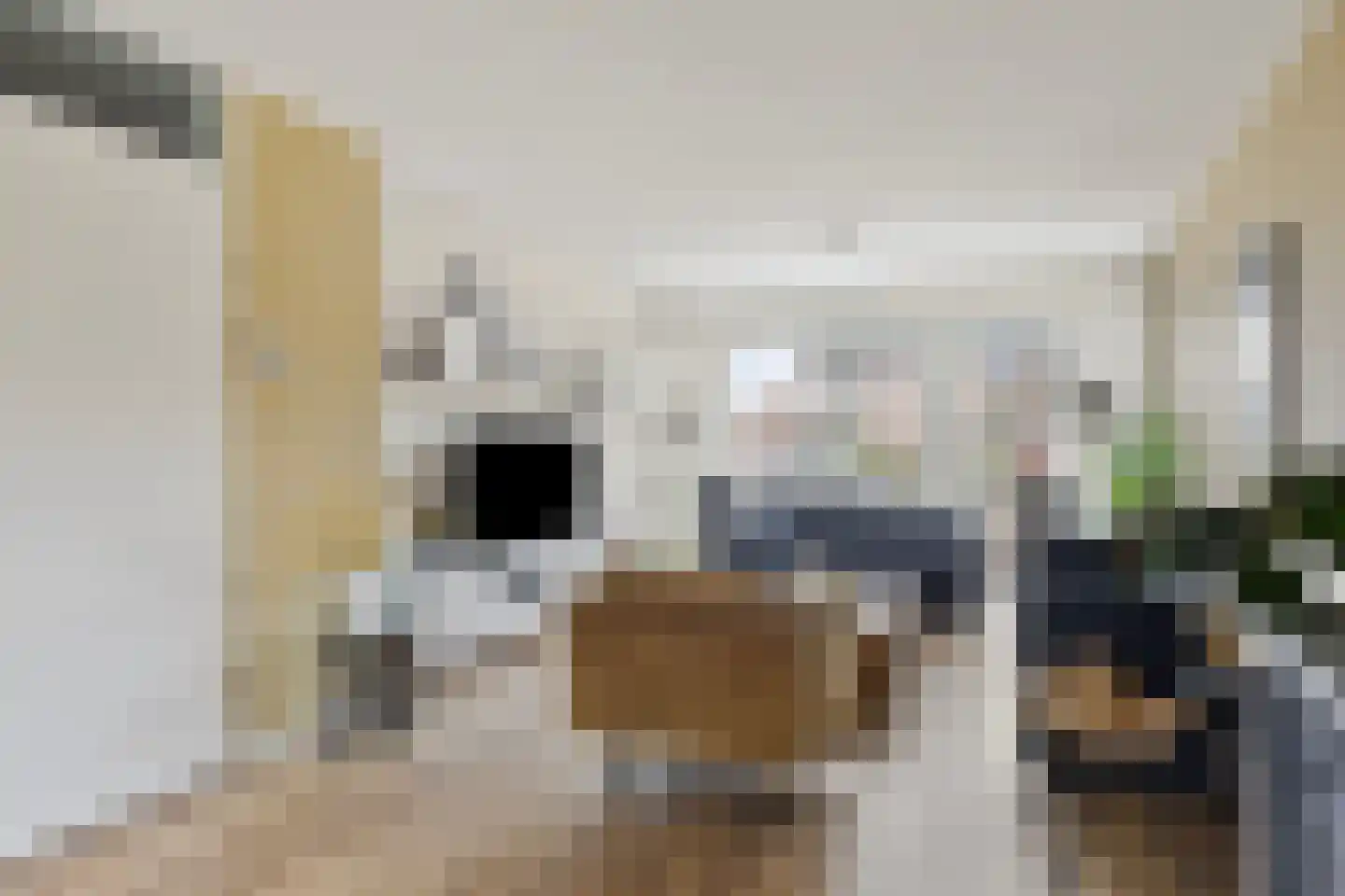 Beatrixstraat 24 Axel thumbnail 4