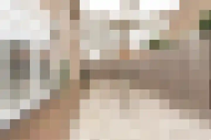 Beatrixstraat 24 Culemborg thumbnail 36