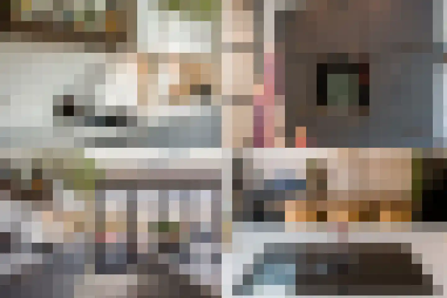 Beatrixstraat 24 Noordwijk thumbnail 19