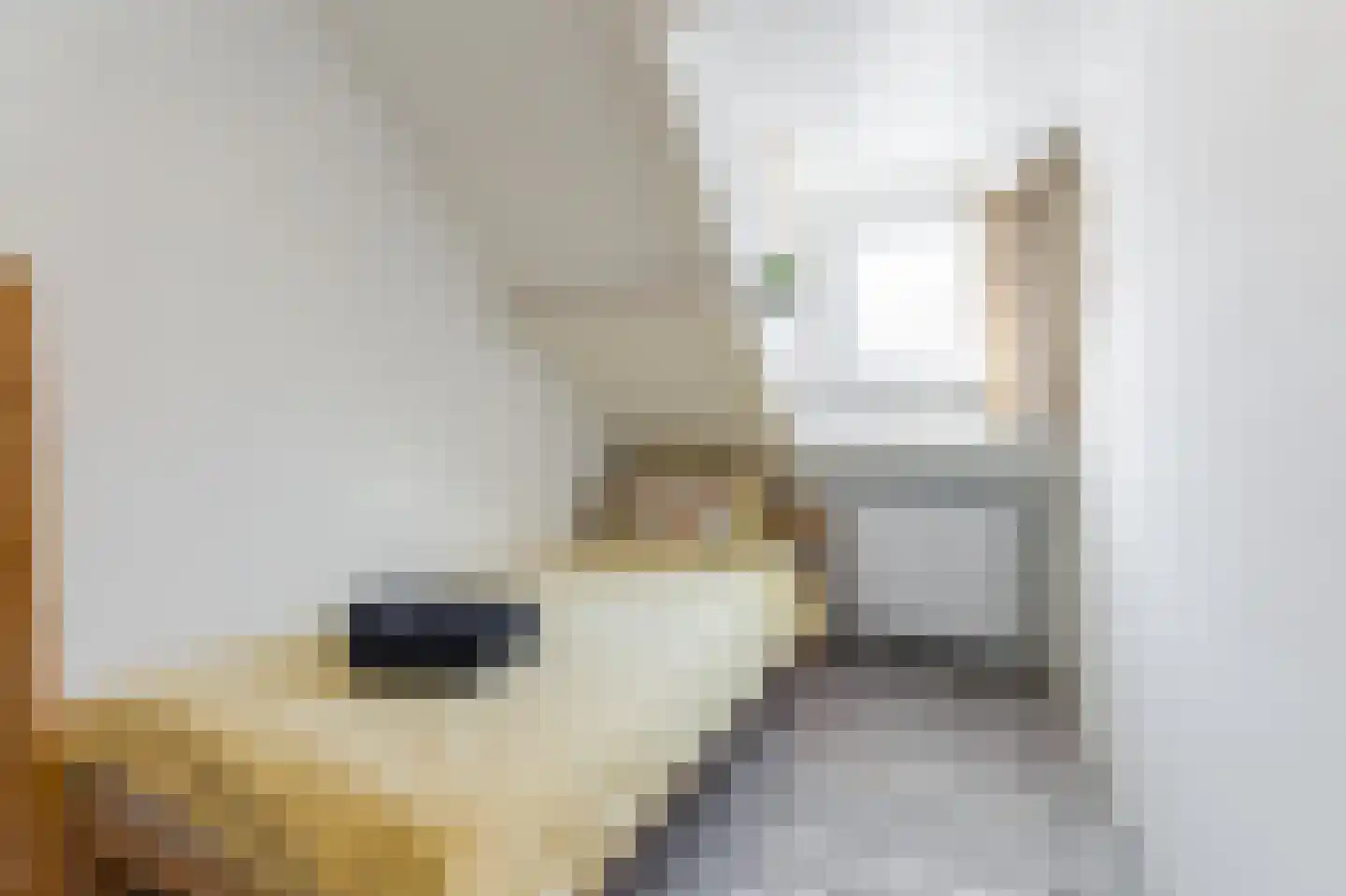 Beatrixstraat 24 Noordwijk thumbnail 55