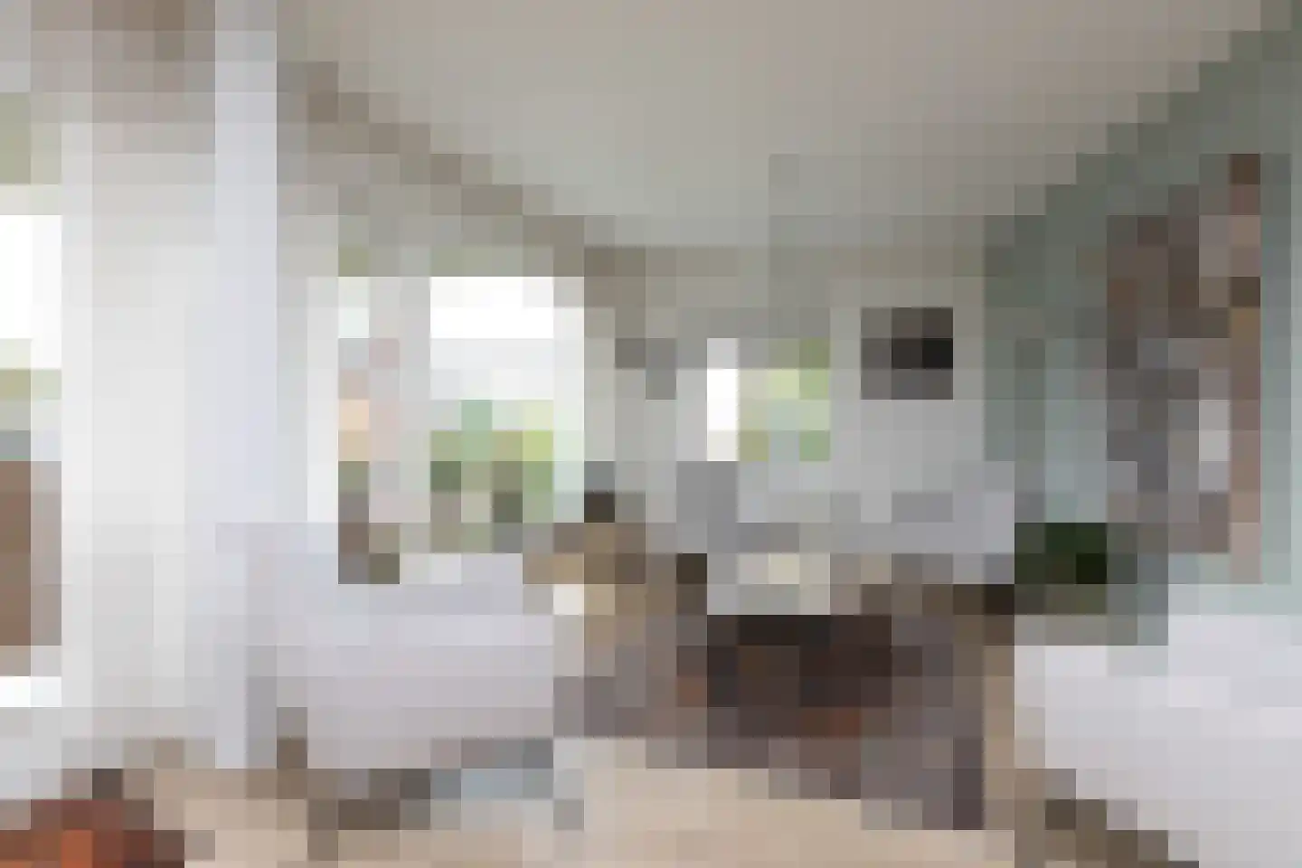 Beatrixstraat 24 Sneek thumbnail 10