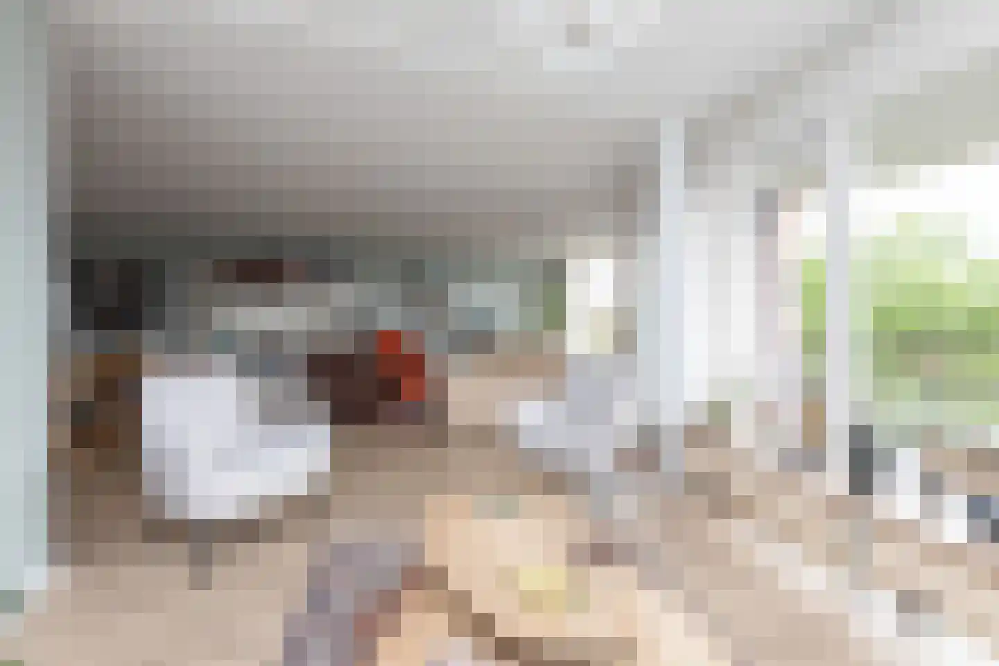 Beatrixstraat 24 Sneek thumbnail 11