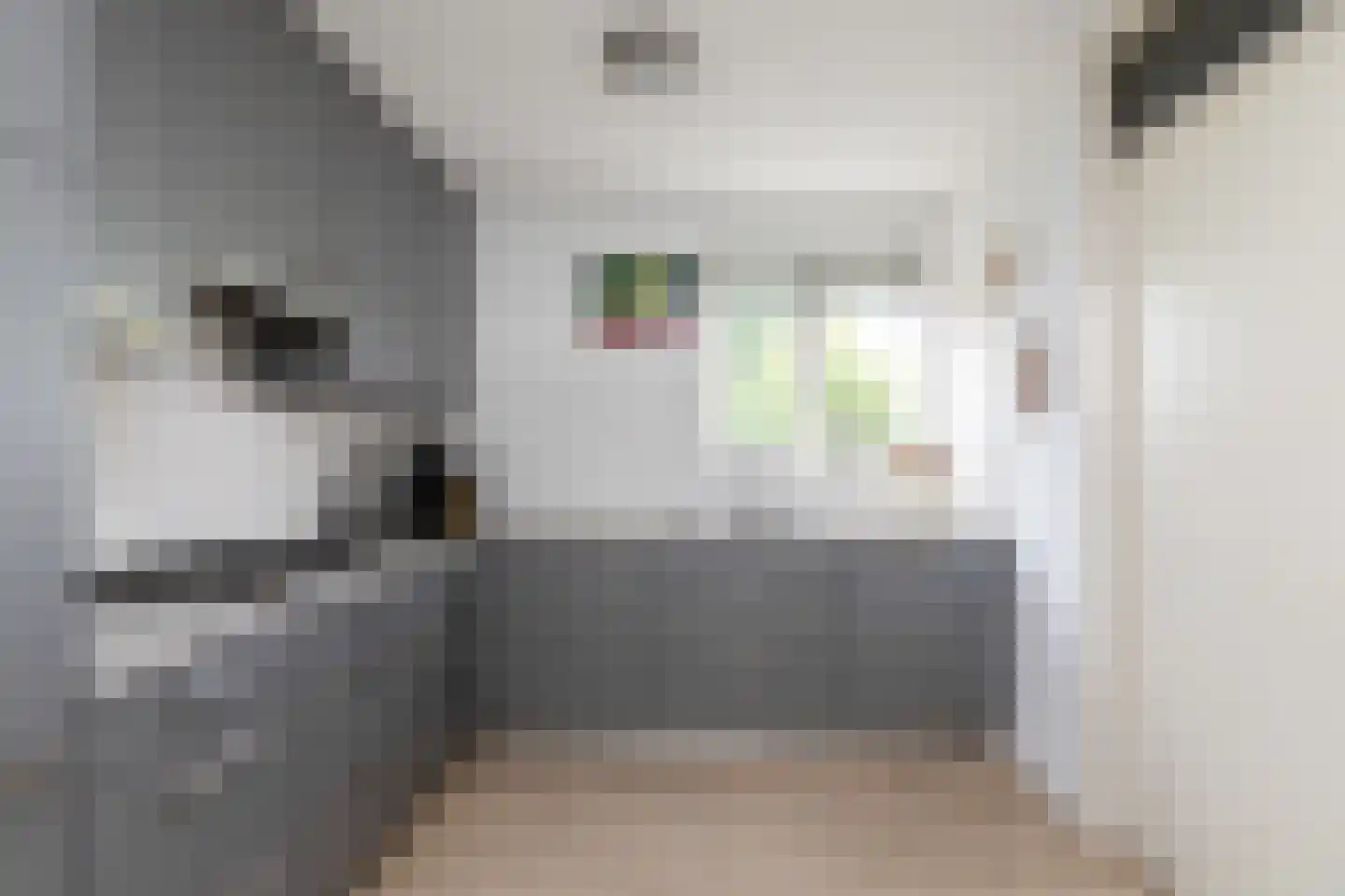 Beatrixstraat 24 Sneek thumbnail 19