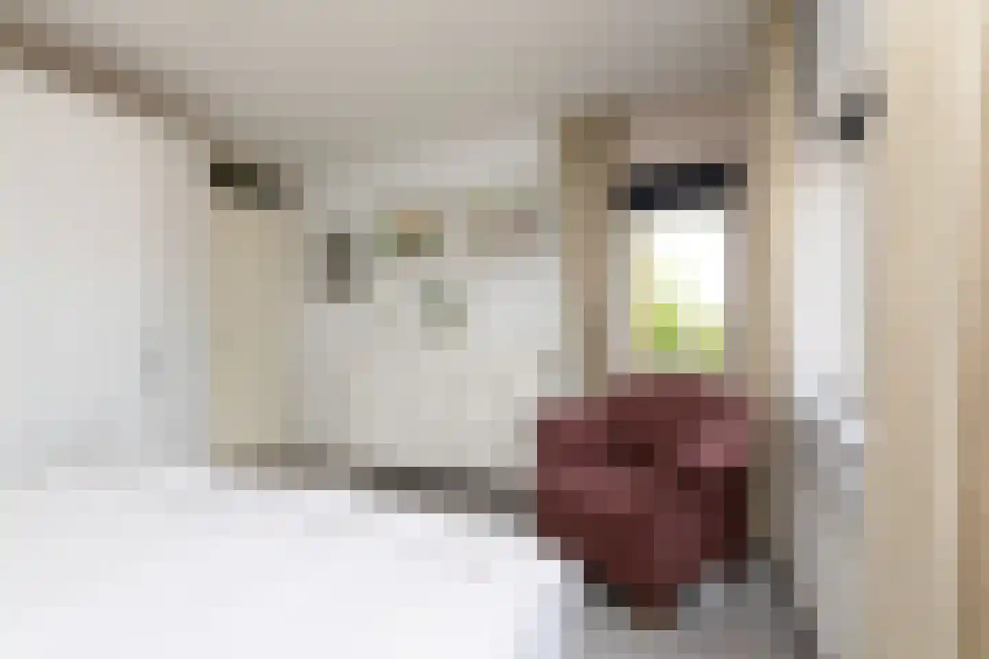 Beatrixstraat 24 Sneek thumbnail 28