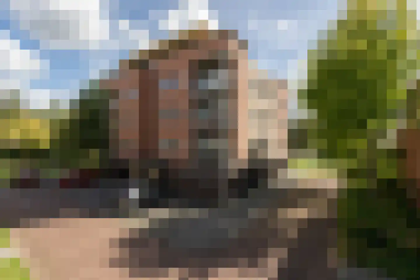 Beatrixstraat 24 Sneek thumbnail 5