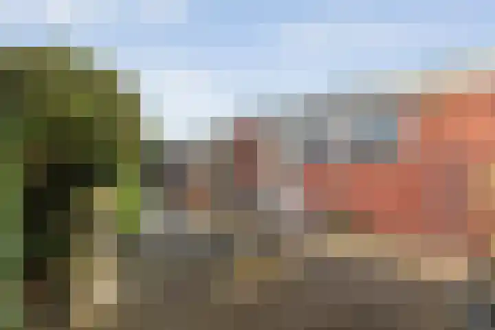 Beatrixstraat 25 de Lutte thumbnail 17