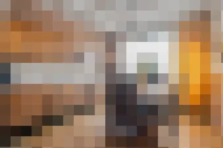 Beatrixstraat 25 de Lutte thumbnail 8