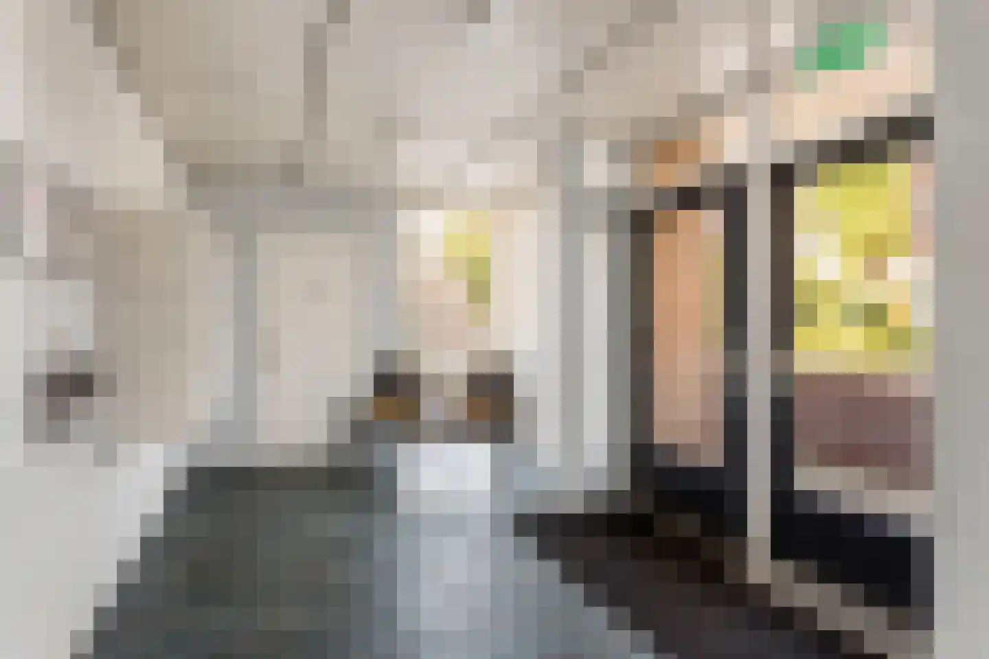 Beatrixstraat 26 Oldenzaal thumbnail 19