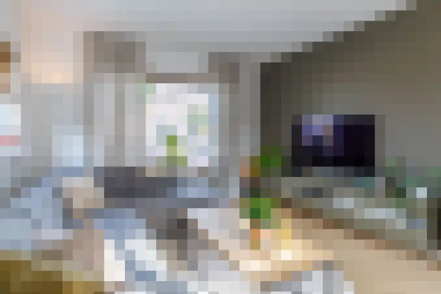 Beatrixstraat 27 Rijssen thumbnail 18