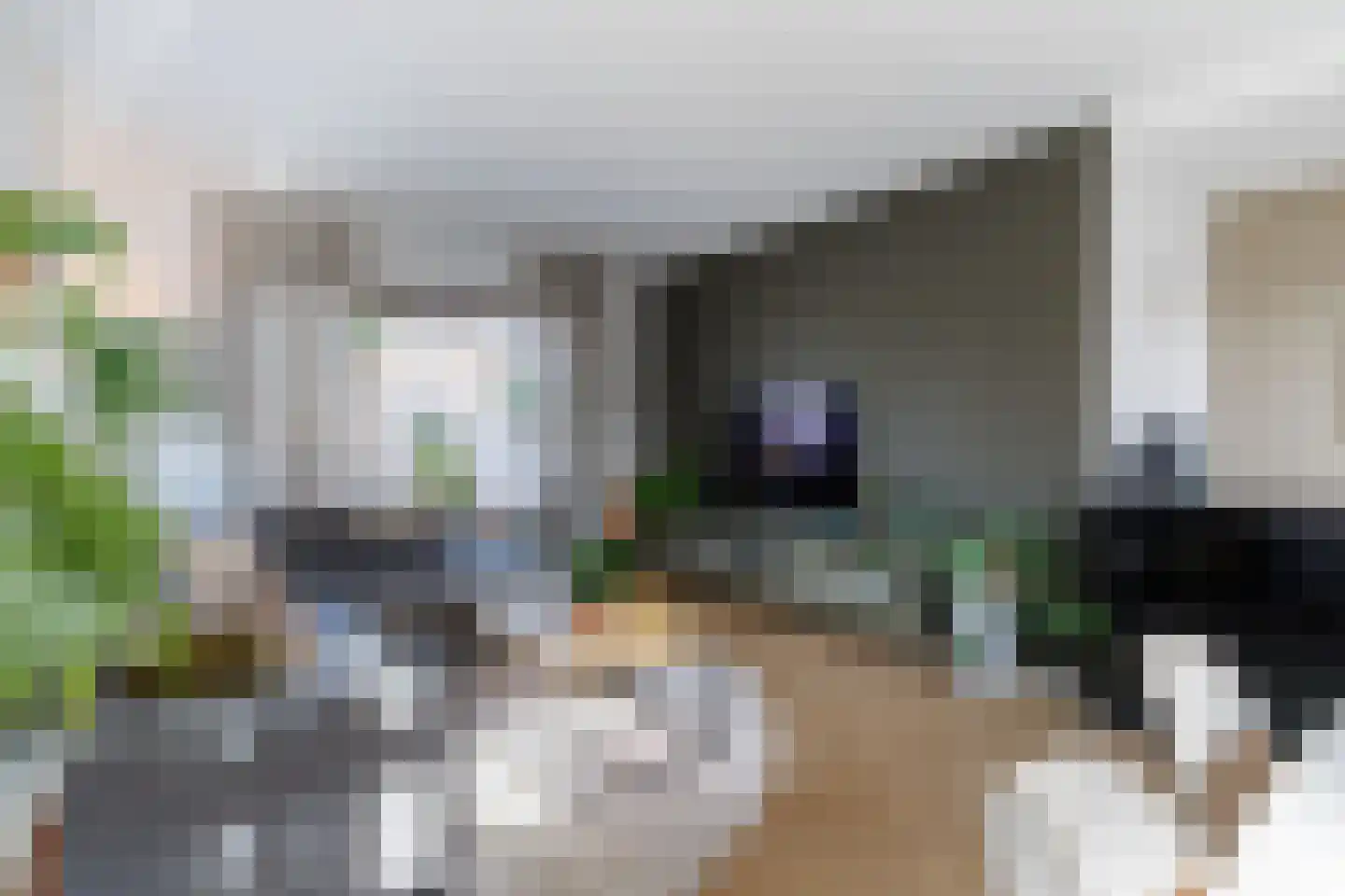 Beatrixstraat 27 Rijssen thumbnail 20