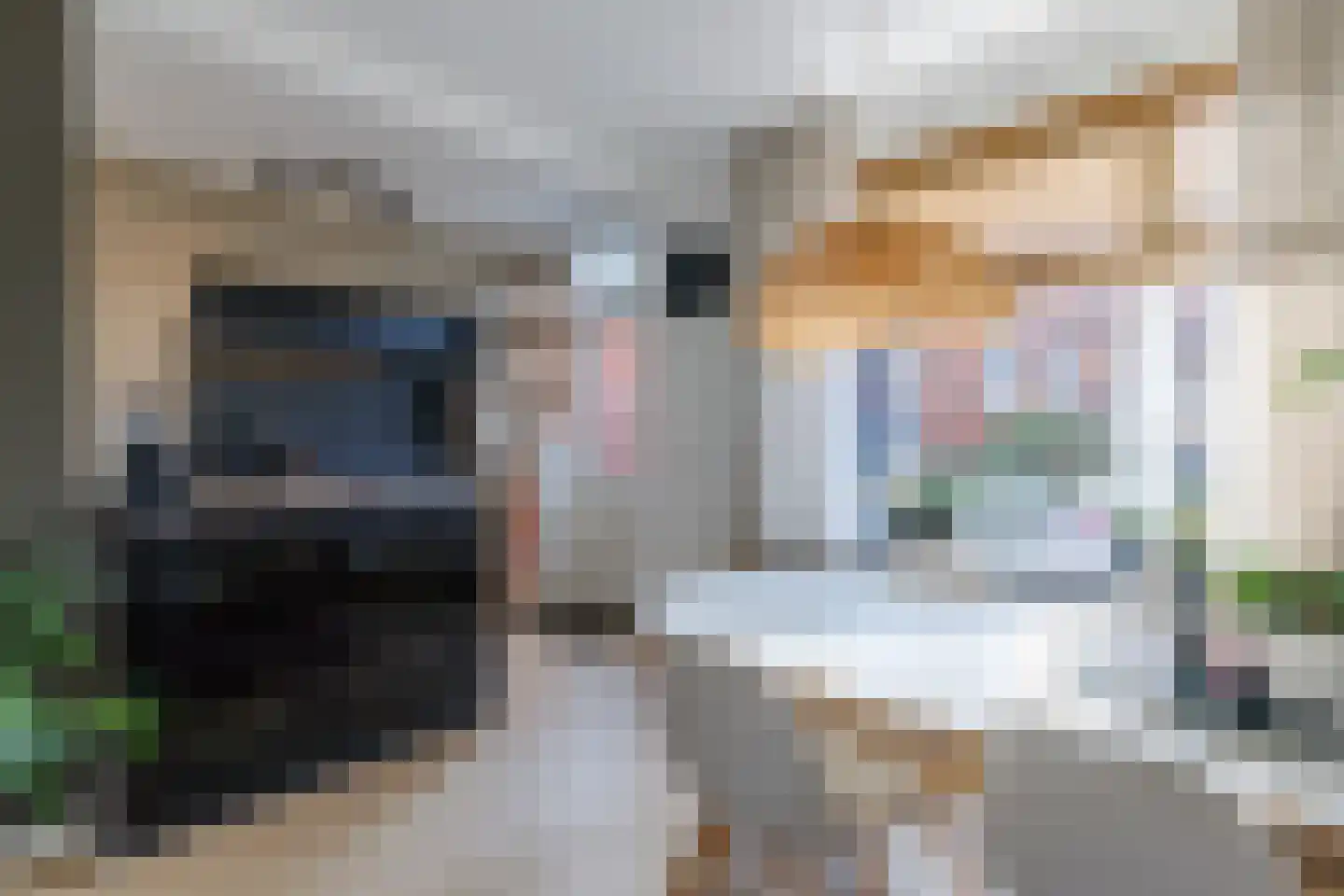 Beatrixstraat 27 Rijssen thumbnail 24