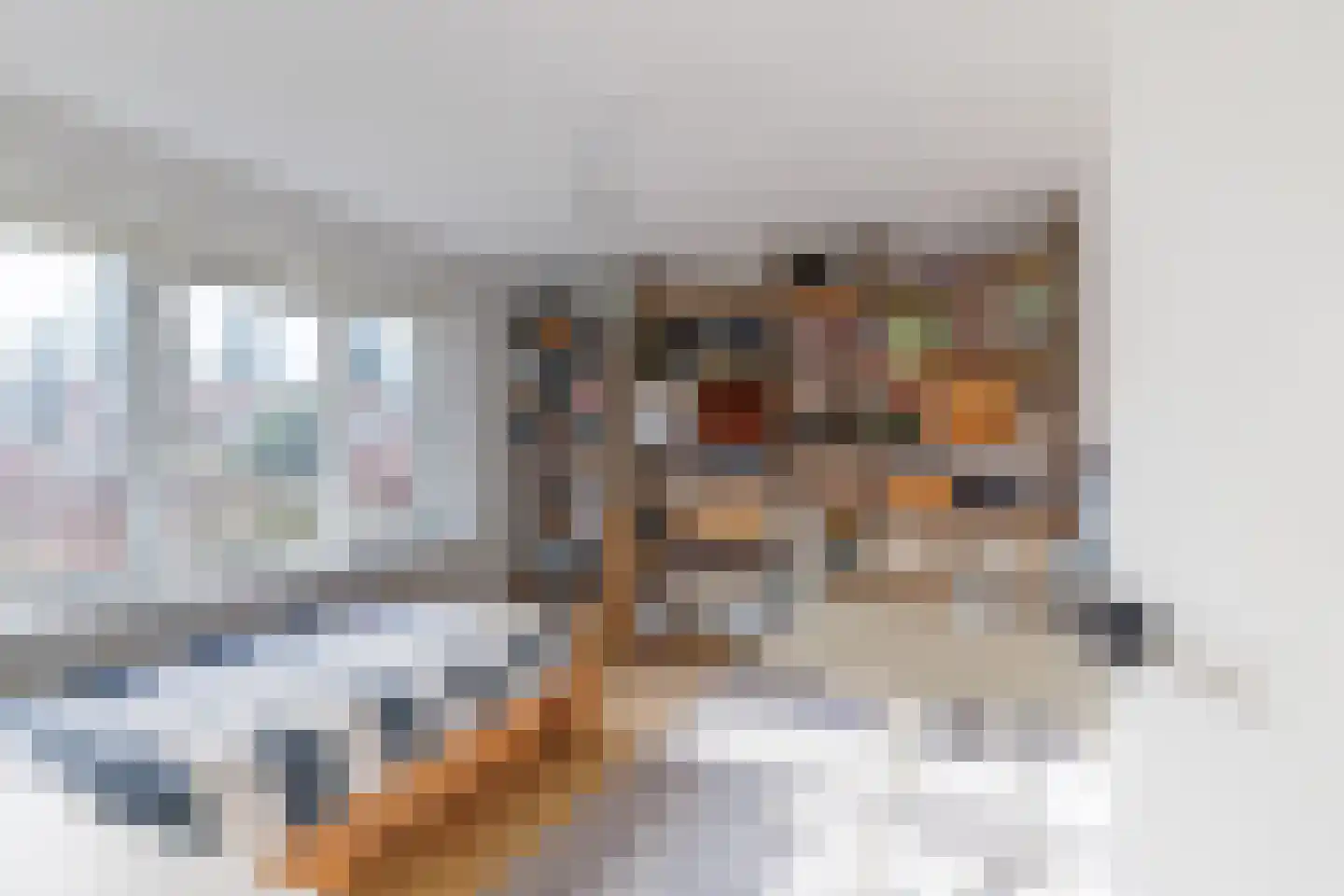 Beatrixstraat 27 Rijssen thumbnail 28