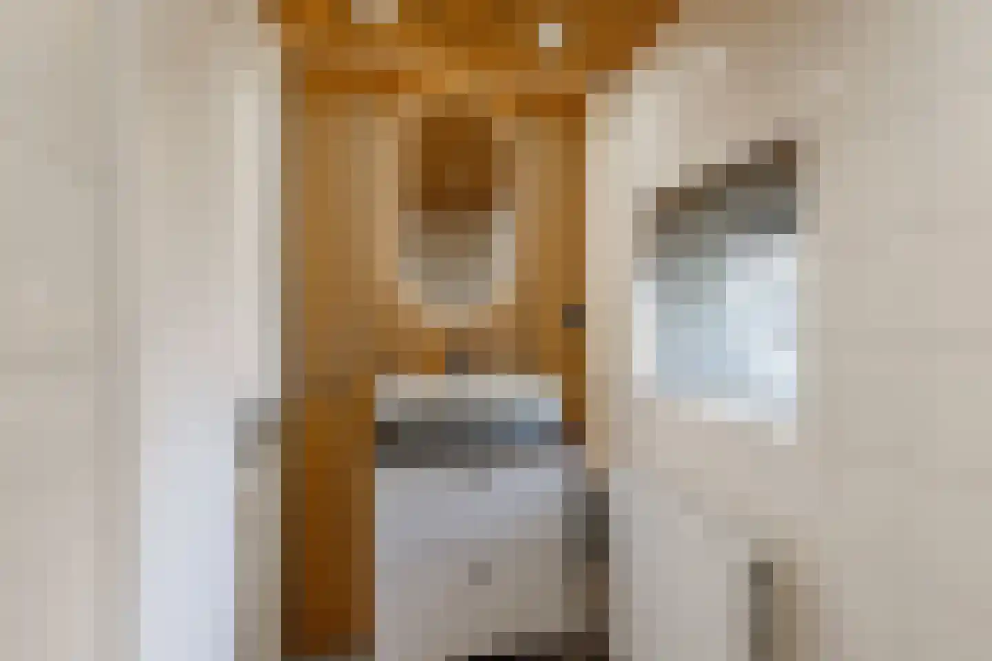 Beatrixstraat 27 Rijssen thumbnail 33