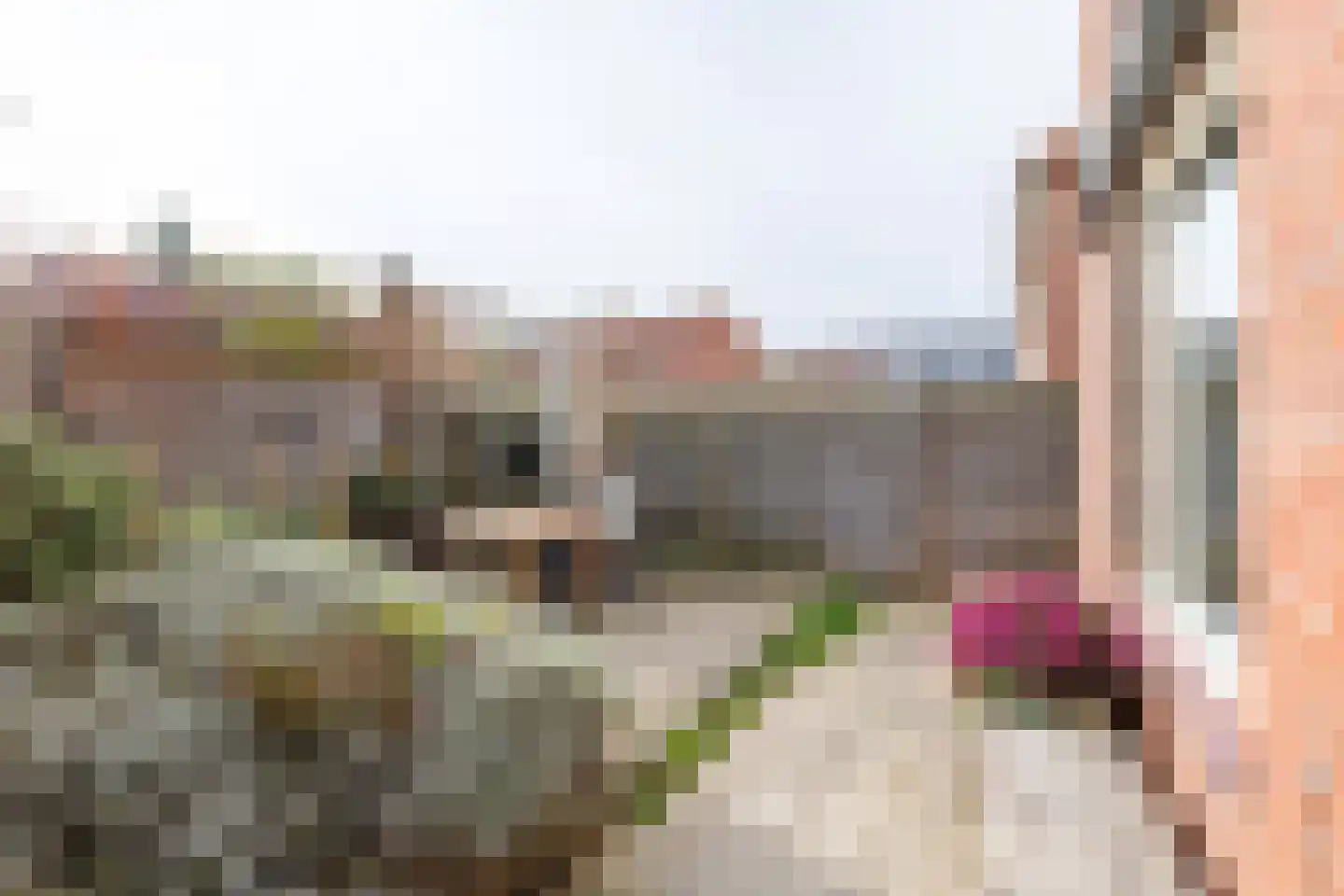 Beatrixstraat 27 Rijssen thumbnail 39