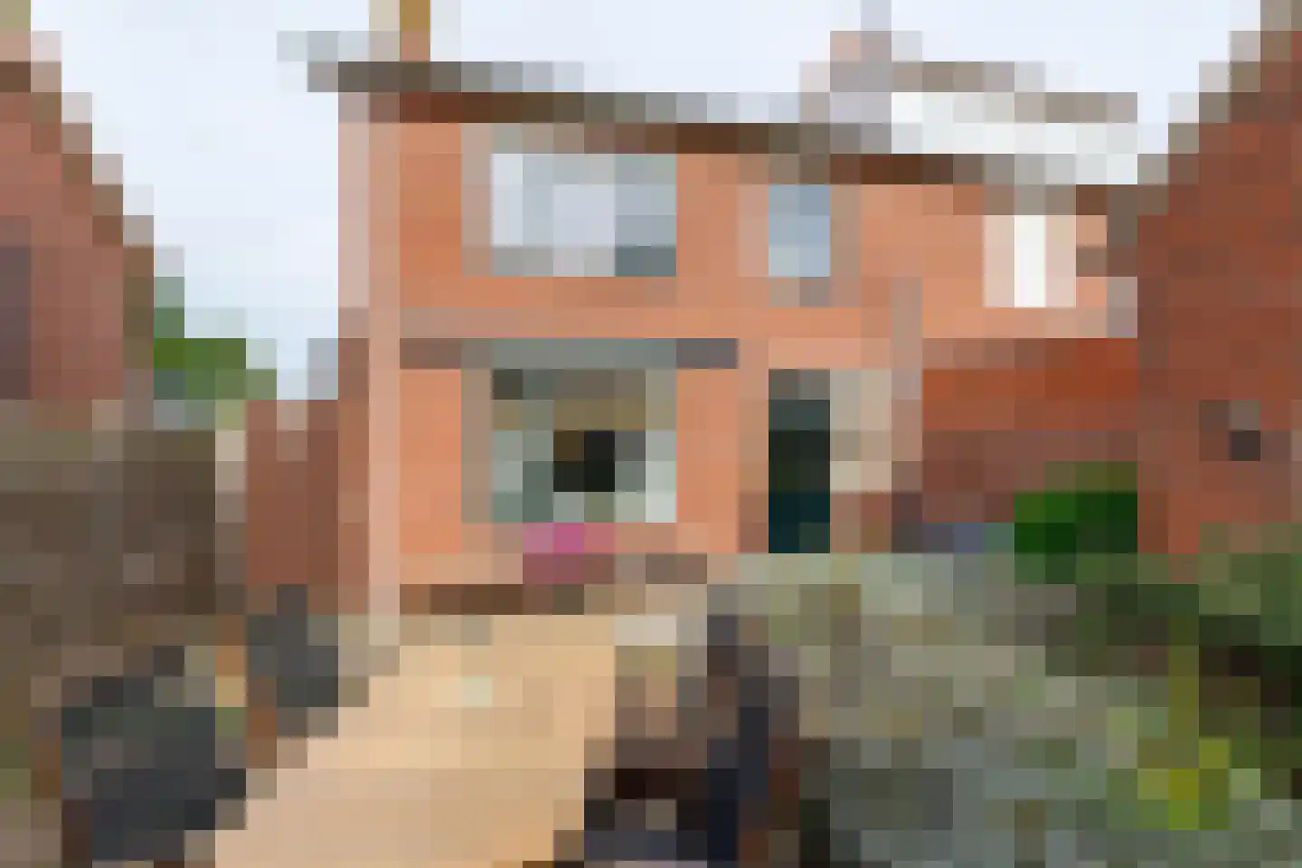 Beatrixstraat 27 Rijssen thumbnail 40