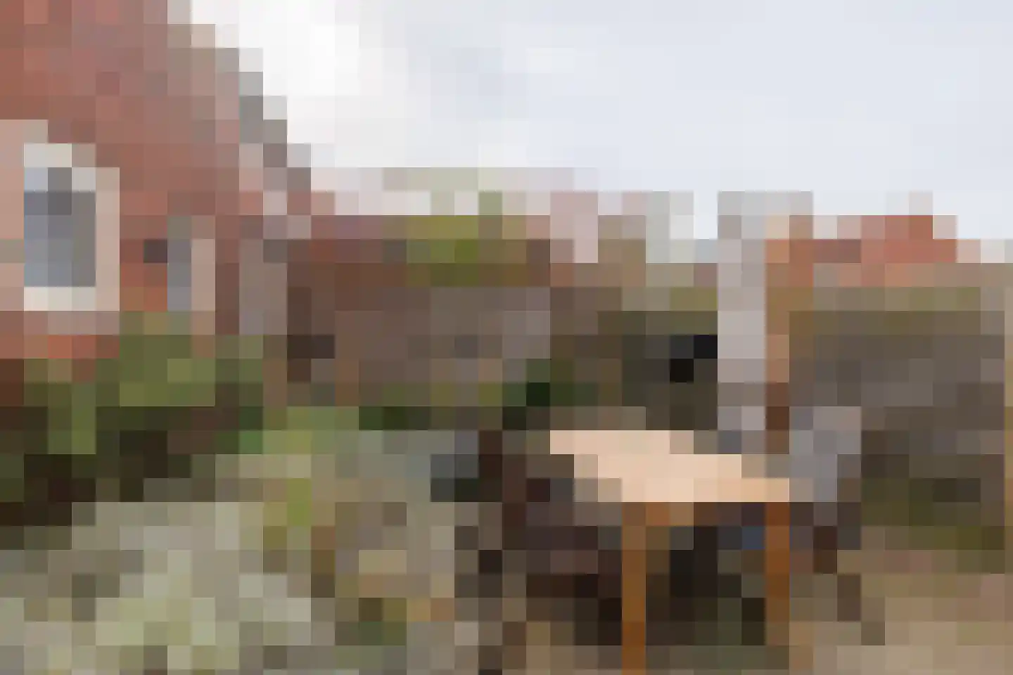 Beatrixstraat 27 Rijssen thumbnail 41