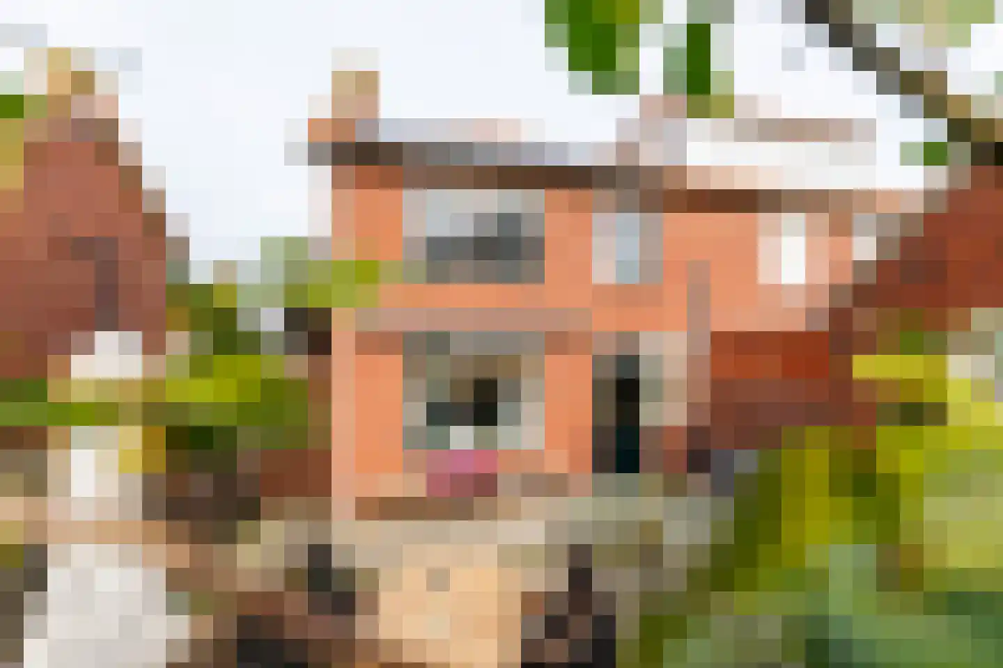 Beatrixstraat 27 Rijssen thumbnail 43