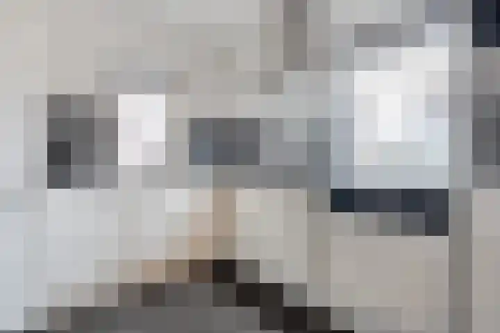 Beatrixstraat 28 Dedemsvaart thumbnail 14