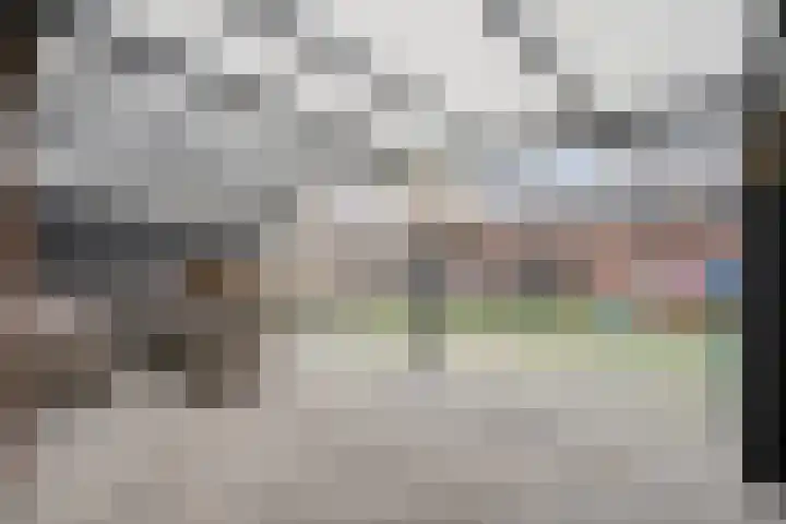 Beatrixstraat 28 Dedemsvaart thumbnail 28