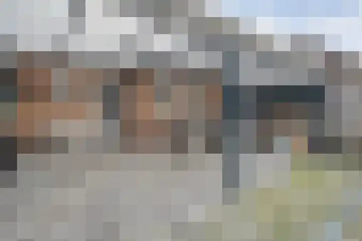 Beatrixstraat 28 Dedemsvaart thumbnail 29