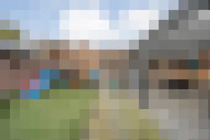 Beatrixstraat 28 Dedemsvaart thumbnail 33
