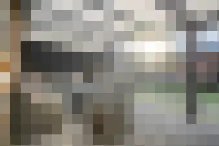Beatrixstraat 28 Dedemsvaart thumbnail 34