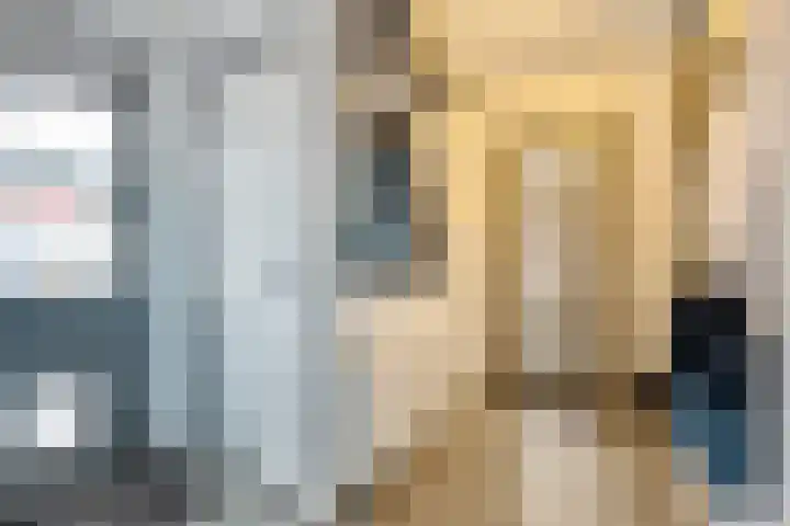 Beatrixstraat 28 Dedemsvaart thumbnail 5