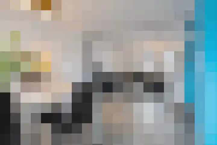 Beatrixstraat 28 Dedemsvaart thumbnail 9