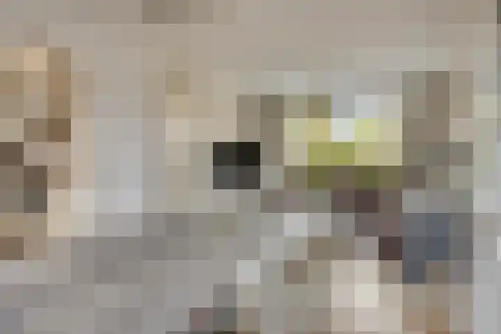 Beatrixstraat 29 Nieuw-Beijerland thumbnail 6