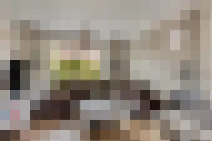 Beatrixstraat 29 Nieuw-Beijerland thumbnail 7
