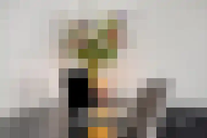 Beatrixstraat 3 de Lutte thumbnail 15