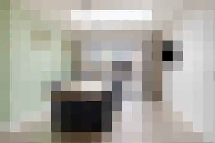 Beatrixstraat 3 de Lutte thumbnail 18
