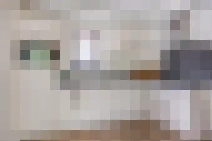 Beatrixstraat 3 de Lutte thumbnail 24