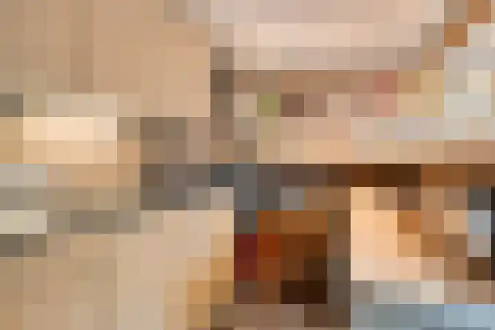 Beatrixstraat 3 de Lutte thumbnail 43