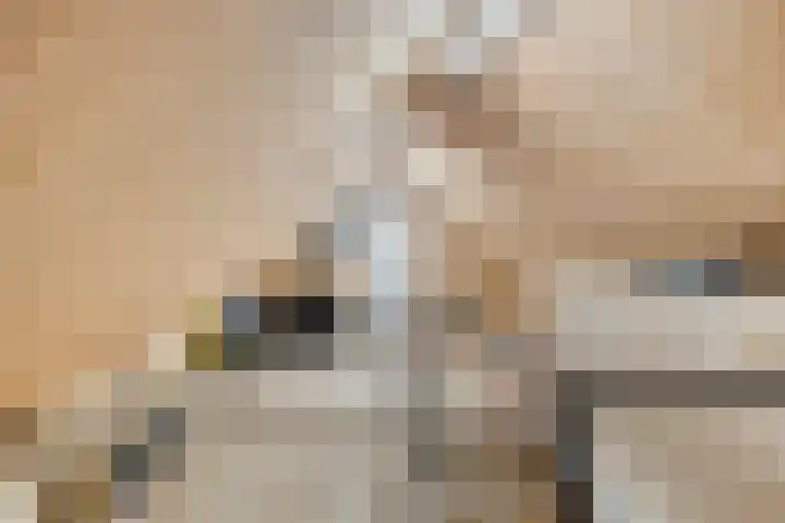 Beatrixstraat 3 de Lutte thumbnail 49