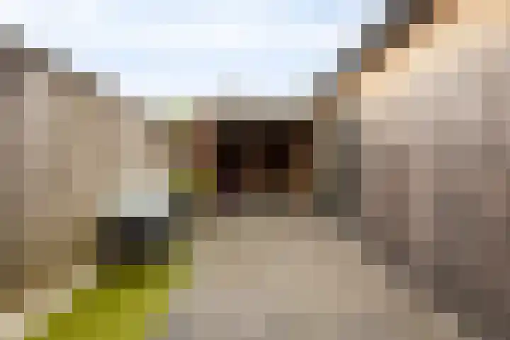 Beatrixstraat 3 de Lutte thumbnail 53