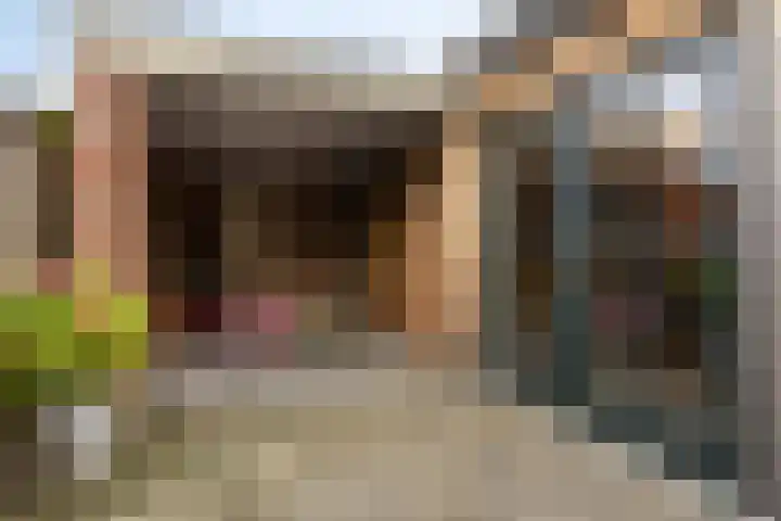 Beatrixstraat 3 de Lutte thumbnail 54