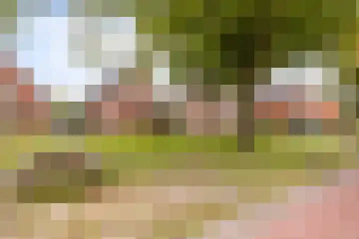 Beatrixstraat 3 de Lutte thumbnail 58